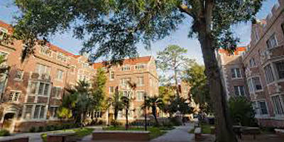 University of Florida Gainesville UF Campus Quad