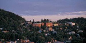 Western Washington University Bellingham WWU Forest Dusk