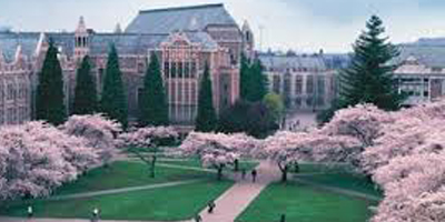 University of Washington-Seattle Campus Quad of Cherry Blossoms